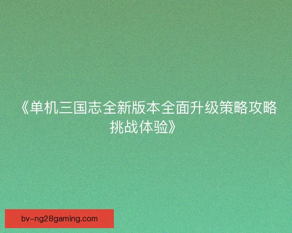 《单机三国志全新版本全面升级策略攻略挑战体验》